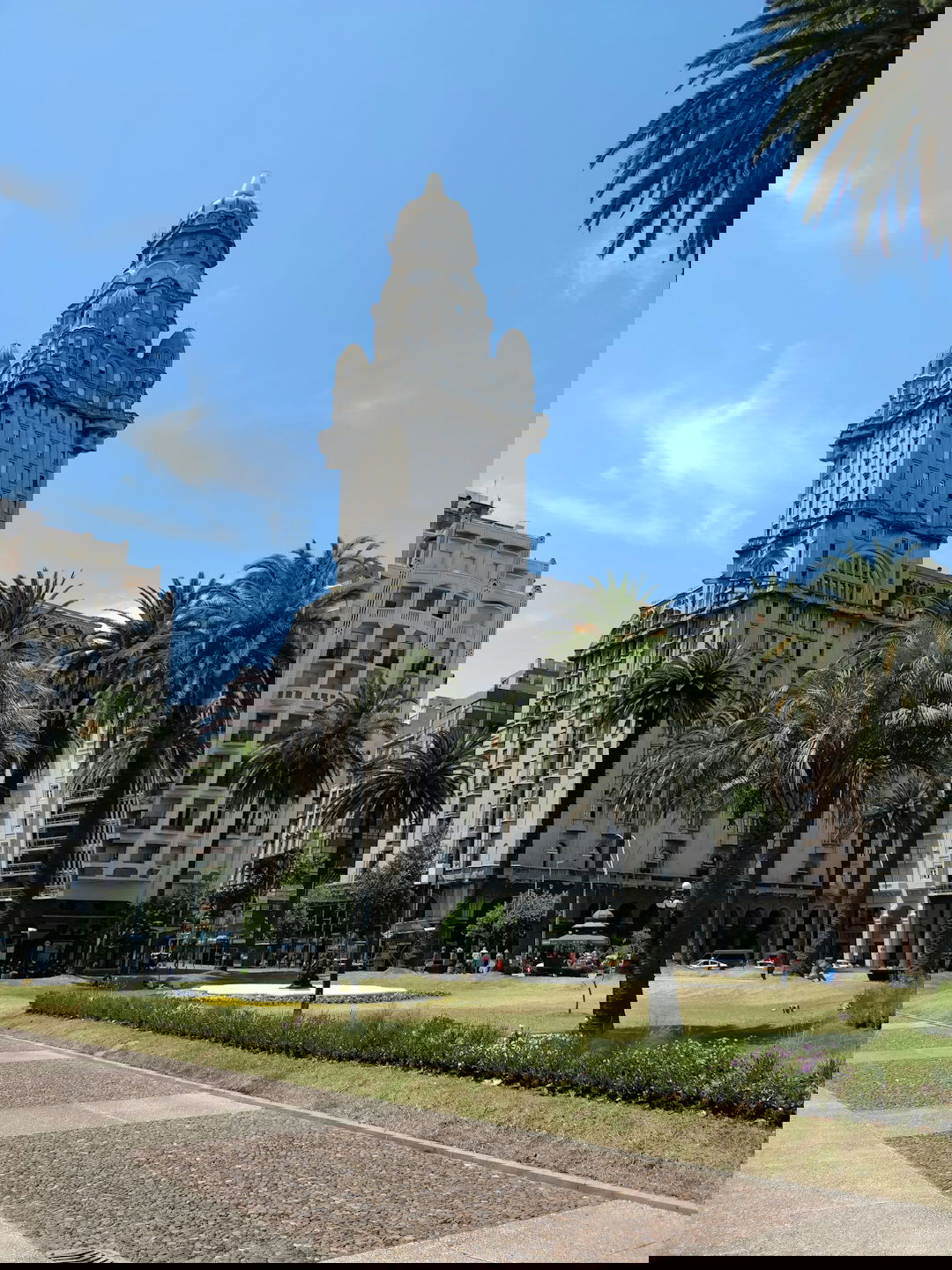 white concrete building near palm trees during daytime